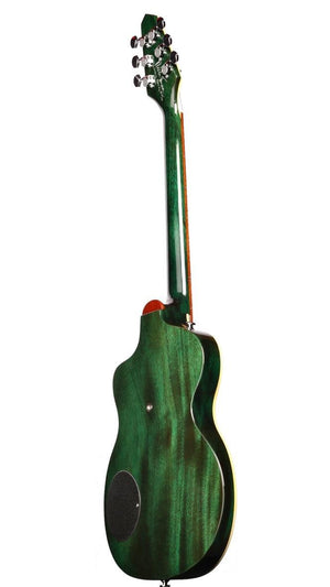 Rick Turner Classic Series Model 1 "The Evergreen" #6/10 with Piezo - Rick Turner Guitars - Heartbreaker Guitars