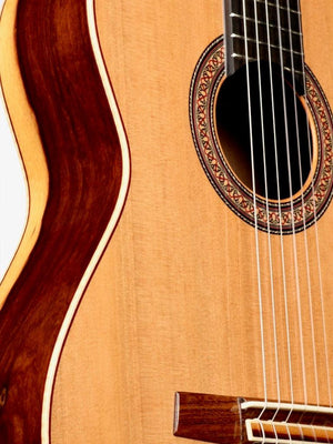 Lyon & Healy Classical Cedar / Grenadilla #190824 - lyon and Healy - Heartbreaker Guitars