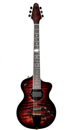 Rick Turner California Series Model 1 and Renaissance RS6 #9 of 10 - Rick Turner Guitars - Heartbreaker Guitars