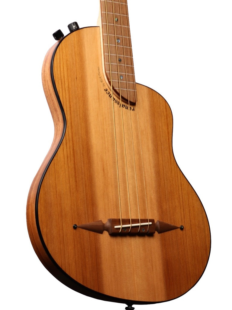 Rick Turner Renaissance RB4 Fretless Bass Cedar / Mahogany #6123
