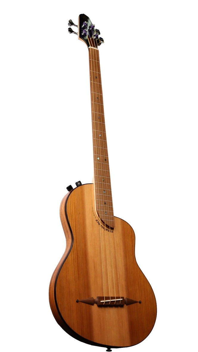 Rick Turner Renaissance RB4 Fretless Bass Cedar / Mahogany #6123