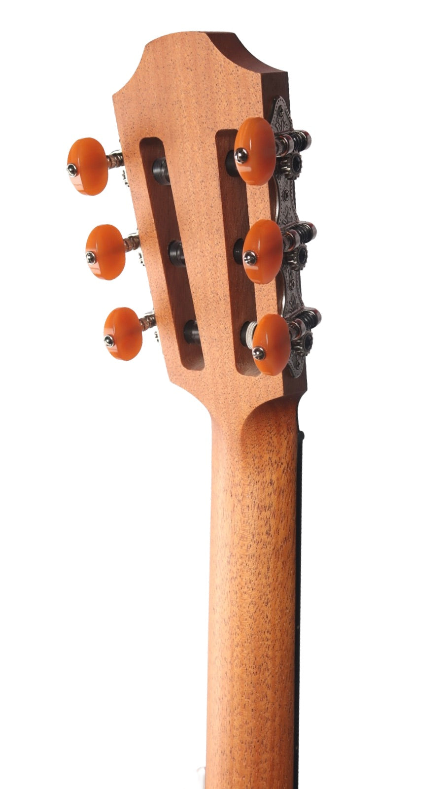 Furch GNc 2-CWa Cedar / Walnut with LR Baggs EAS #137400