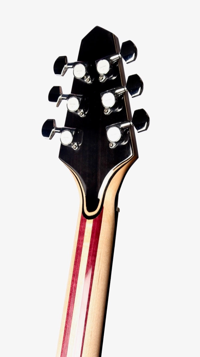 Rick Turner Model 1 Deluxe Lindsey Buckingham Full