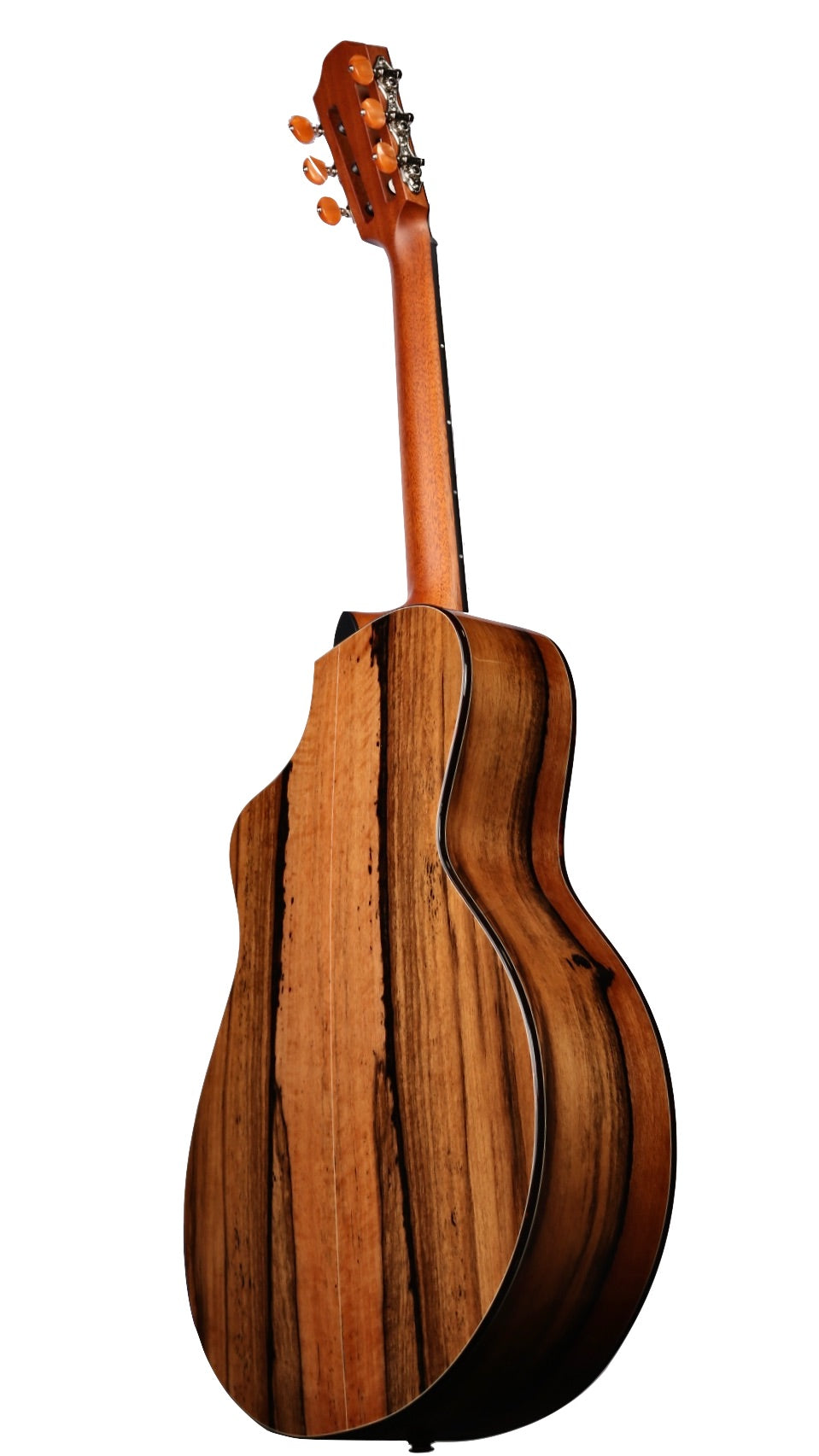 Furch GNc 4-CEa Nylon Cedar / Ebony with LR Baggs EAS-VTC #127610
