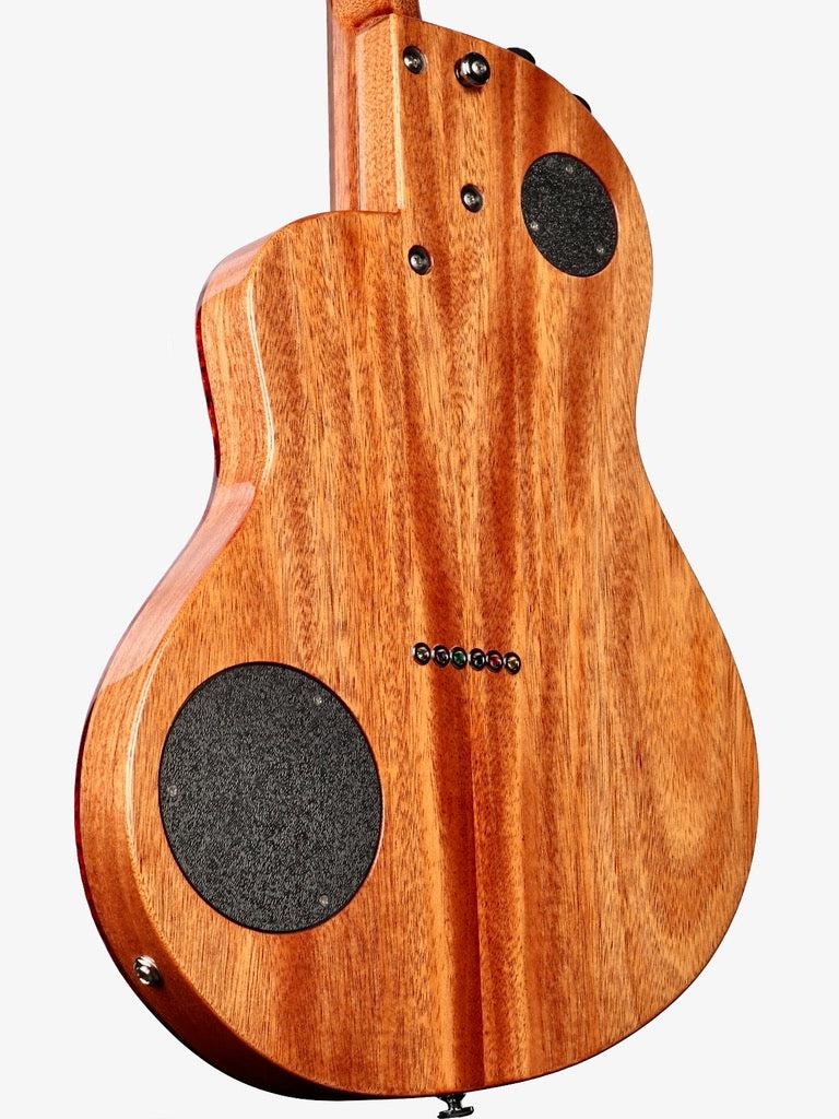 Rick Turner Renaissance RS6 Ash / Mahogany #5905 - Rick Turner Guitars - Heartbreaker Guitars