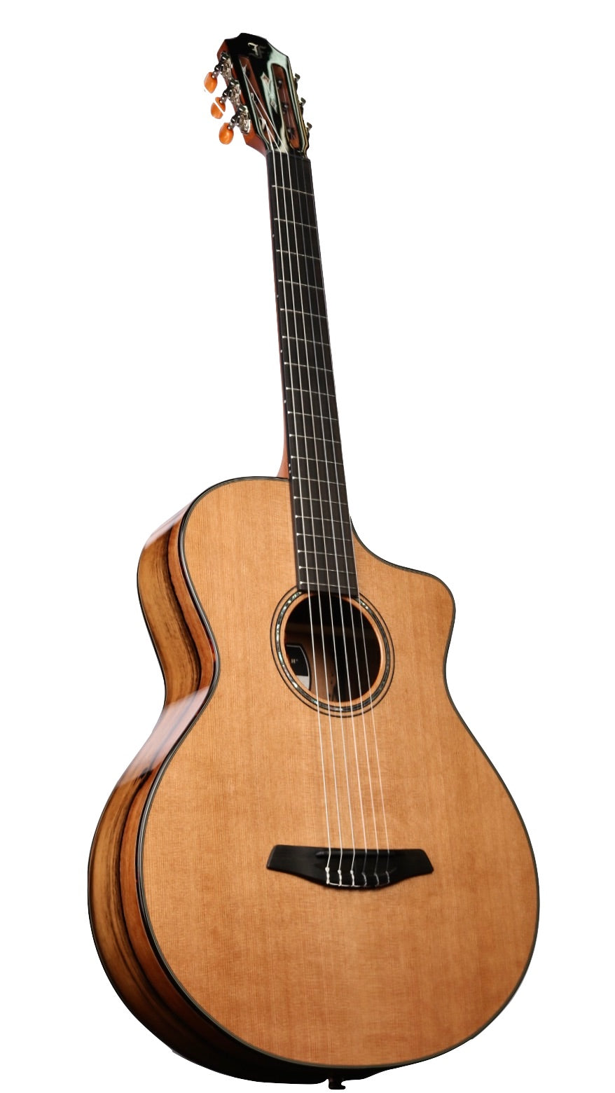Furch GNc 4-CEa Nylon Cedar / Ebony with LR Baggs EAS-VTC #127610