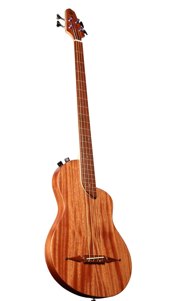 Rick Turner Renaissance RB4 Special Fretless Bass #5984