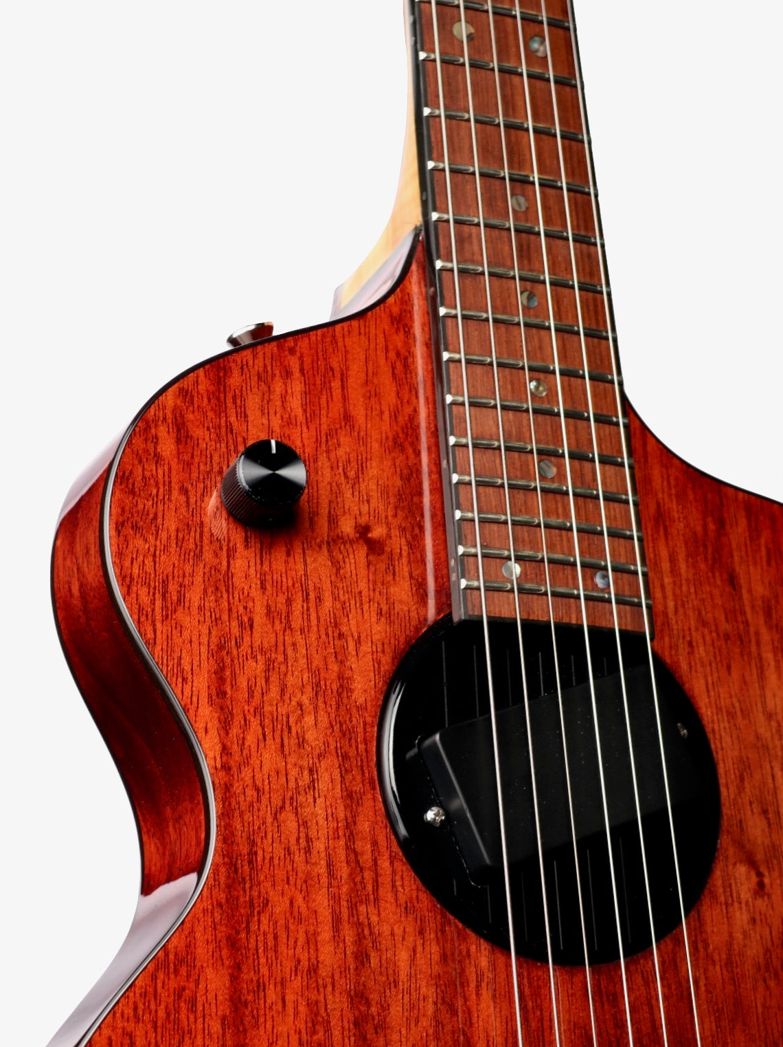 Rick Turner 30th Anniversary Limited Edition Model 1 #2849 (Pre-Owned)