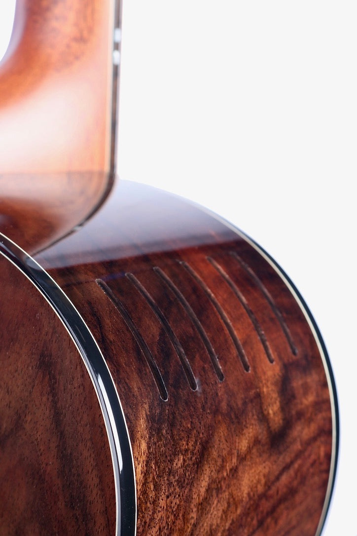 Furch Limited Edition Dc-LR Alpine Spruce / Figured Indian Rosewood #124663