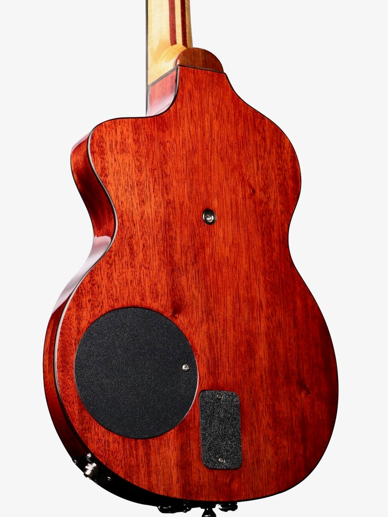 Rick Turner 30th Anniversary Limited Edition Model 1 #2849 (Pre-Owned)