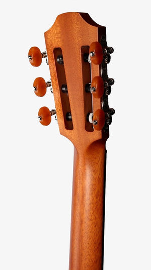 Furch GNc 4-LC Limited Backstage Edition Alpine Spruce / Cocobolo #5/10 - Furch Guitars - Heartbreaker Guitars