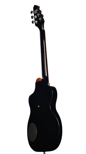 Rick Turner Model 1 Standard Black Gloss #6014