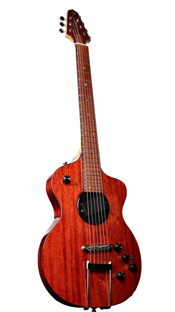 Rick Turner 30th Anniversary Limited Edition Model 1 #2849 (Pre-Owned)