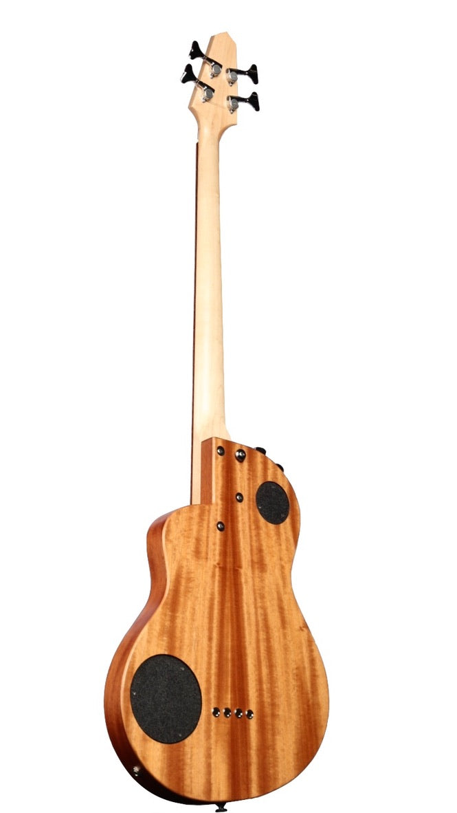 Rick Turner Renaissance RB4 Special Fretless Bass #5984