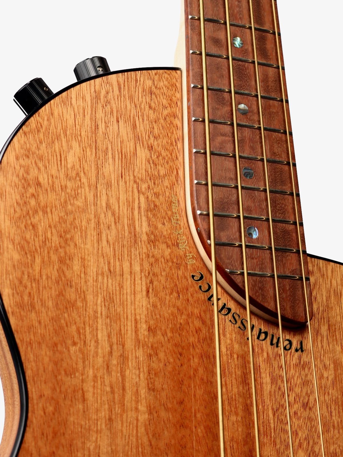 Rick Turner Renaissance RB4 Bass All Mahogany #6024