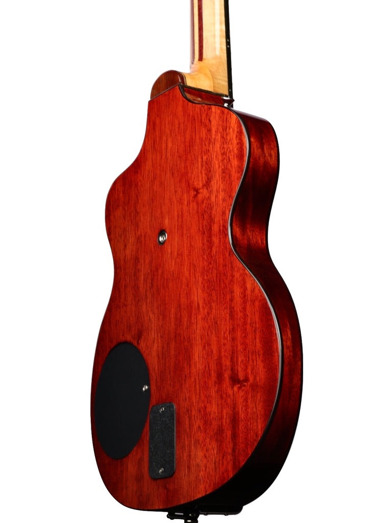 Rick Turner 30th Anniversary Limited Edition Model 1 #2849