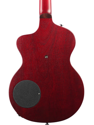 Rick Turner Model 1 Satin Finish w/ Full Electronics Package #6027