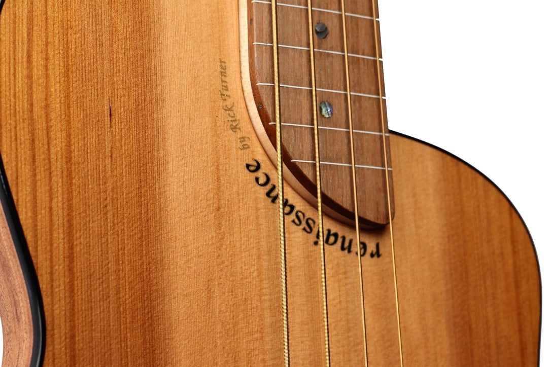Rick Turner Renaissance RB4 Fretless Bass Cedar / Mahogany #6123