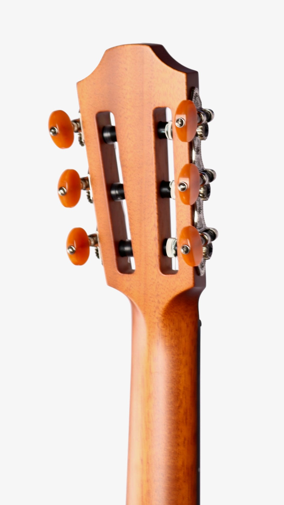 Furch GNc 4-CLa Nylon Cedar / Claro Walnut with LR Baggs EAS-VTC #127502