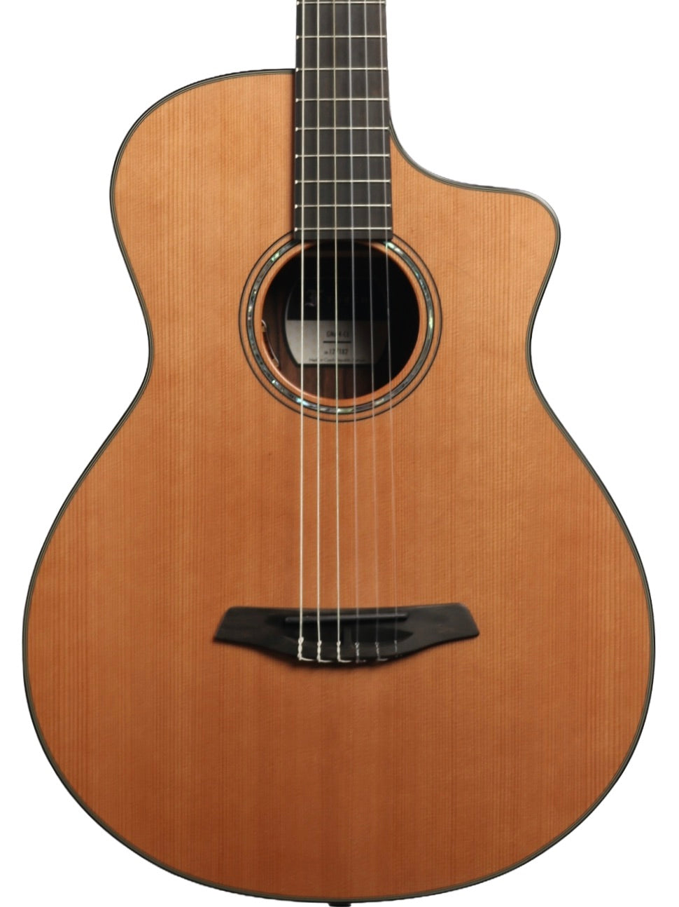Furch GNc 4-CEa Nylon Cedar / Ebony with LR Baggs EAS-VTC #127182