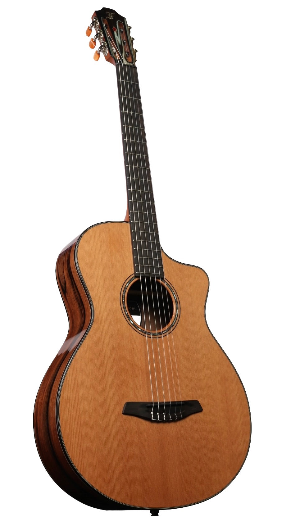 Furch GNc 4-CEa Nylon Cedar / Ebony with LR Baggs EAS-VTC #127182