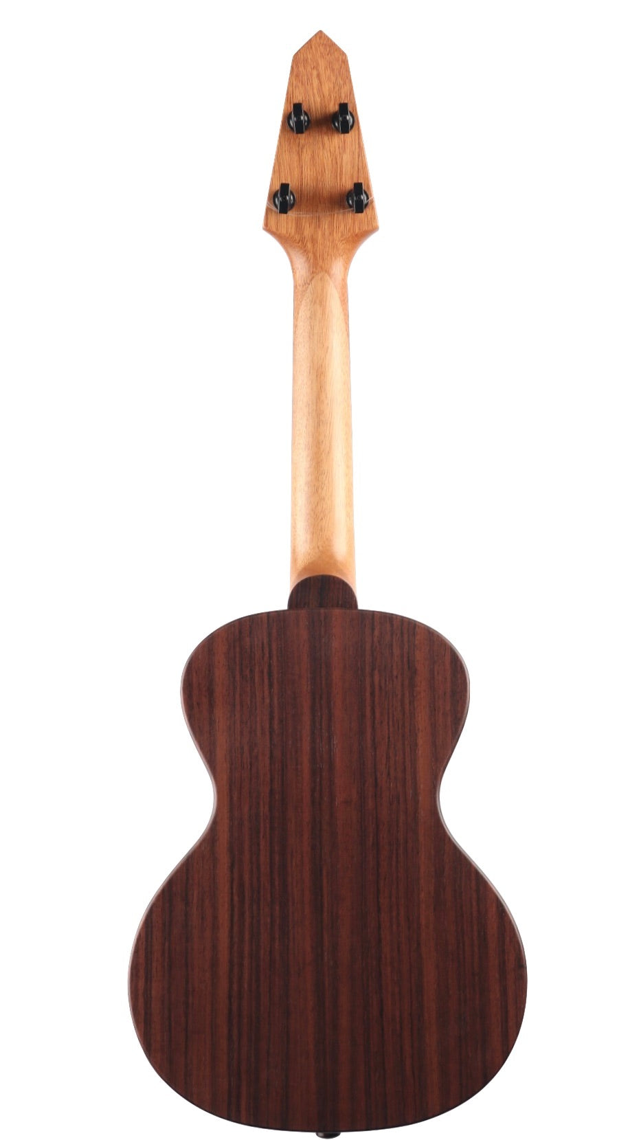 Compass Rose Ukulele Bearclaw Spruce / Indian Rosewood #5735