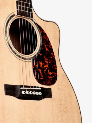 Larrivee LV-09 Sitka Spruce / Indian Rosewood #137142 - Larrivee Guitars - Heartbreaker Guitars