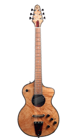 2025 Rick Turner Model 1 Legacy 21 #N6114