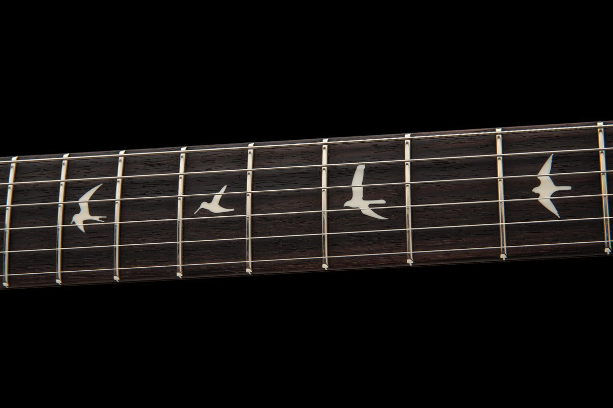 PRS Dead Spec Silver Sky (PRE-ORDER) - Paul Reed Smith Guitars - Heartbreaker Guitars