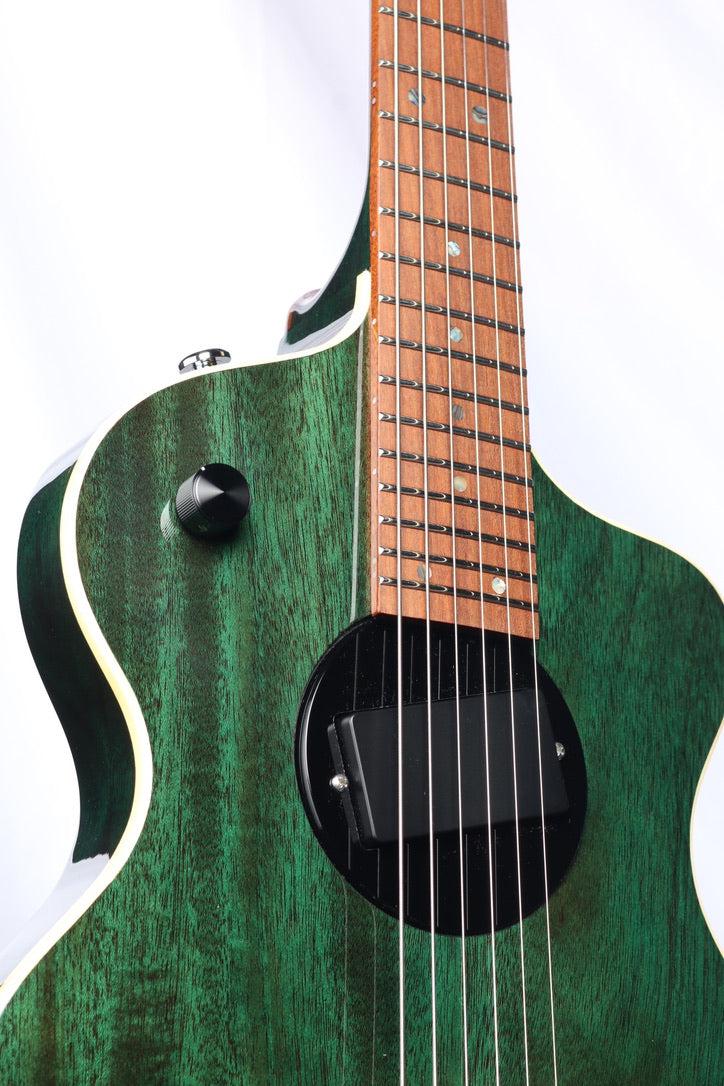 Rick Turner Classic Series Model 1 "The Evergreen" #6/10 with Piezo - Rick Turner Guitars - Heartbreaker Guitars