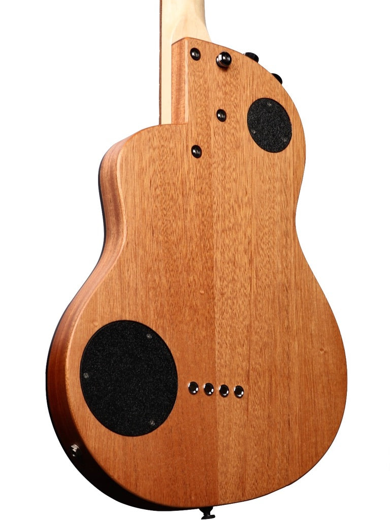 Rick Turner Renaissance RB4 Fretless Bass Cedar / Mahogany #6123