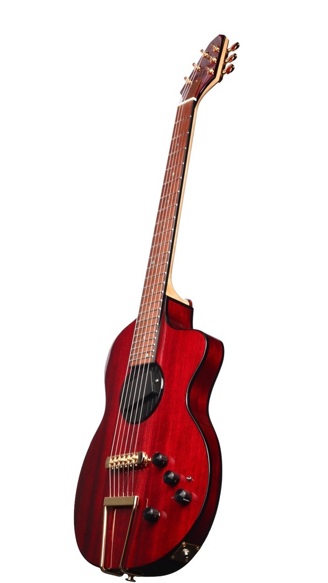 Rick Turner Model 1 Deluxe Lindsey Buckingham with Trapeze