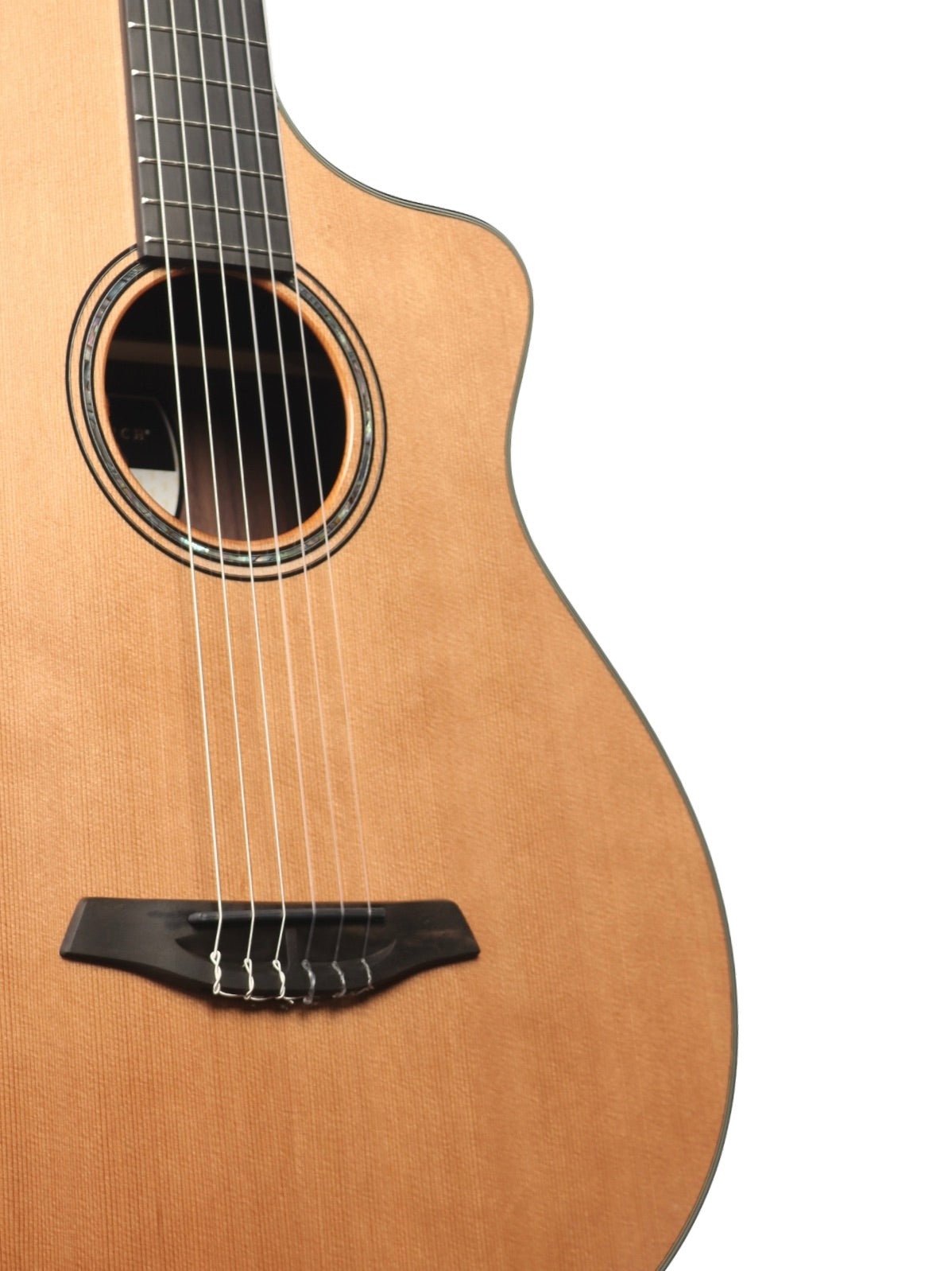 Furch GNc 4-CRa Nylon Cedar / Indian Rosewood with LR Baggs EAS #138896