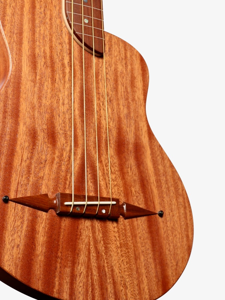 Rick Turner Renaissance RB4 Special Fretless Bass #5984