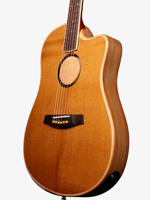 LR Baggs AEG-1 Torrefied Sitka Spruce / Rosewood #0897