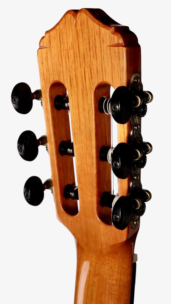 Lyon & Healy Classical Cedar / Grenadilla #190827 - lyon and Healy - Heartbreaker Guitars