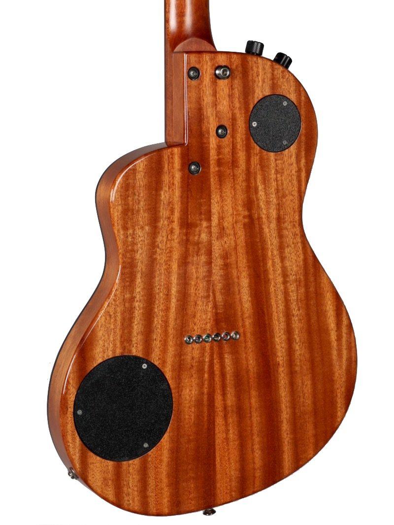 Renaissance RS6 Cedar / Mahogany #5484 - Rick Turner Guitars - Heartbreaker Guitars