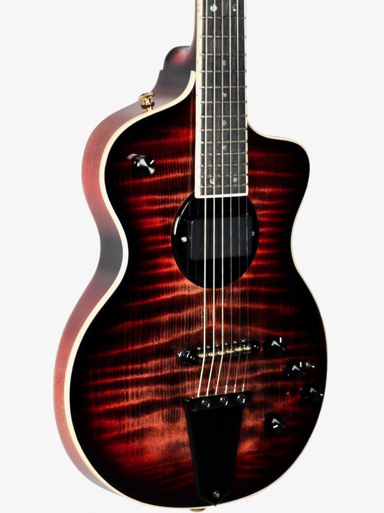 Rick Turner California Series Model 1 and Renaissance RS6 #9 of 10 - Rick Turner Guitars - Heartbreaker Guitars