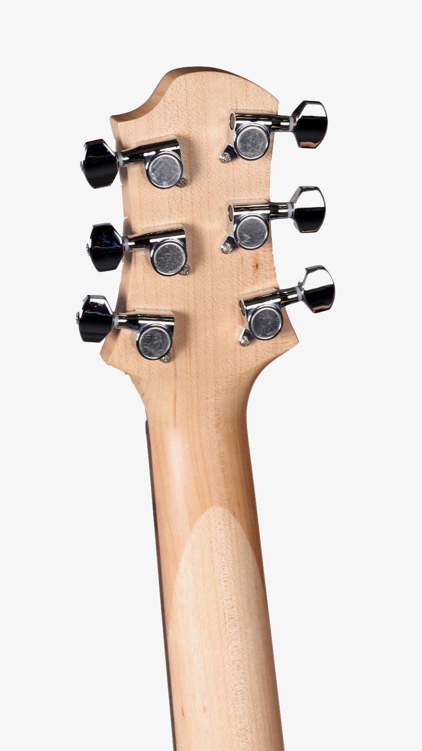 Trinity by Relish Guitars Black #TR200039 - Relish Guitars - Heartbreaker Guitars