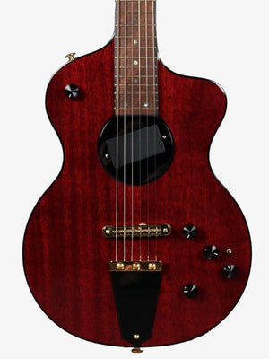 Rick Turner Model 1 Lindsey Buckingham with Piezo Gold Hardware with EVO Frets #5512 - Rick Turner Guitars - Heartbreaker Guitars