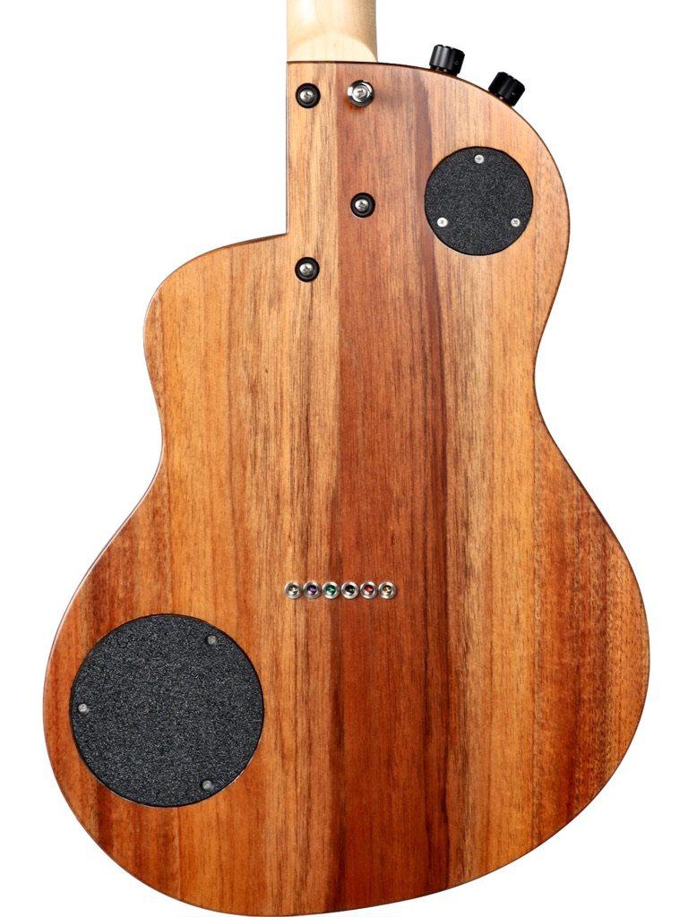 Rick Turner California Series Model 1 and Renaissance RS6 (Satin Finish) #10 of 10 - Rick Turner Guitars - Heartbreaker Guitars