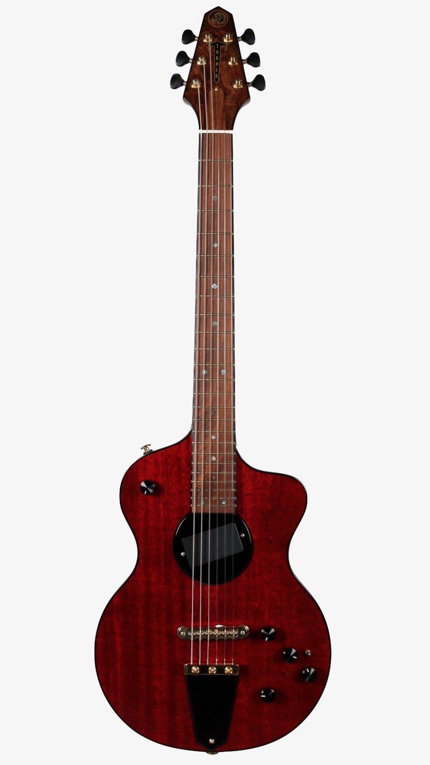 Rick Turner Model 1 Lindsey Buckingham with Piezo Gold Hardware with EVO Frets #5512 - Rick Turner Guitars - Heartbreaker Guitars