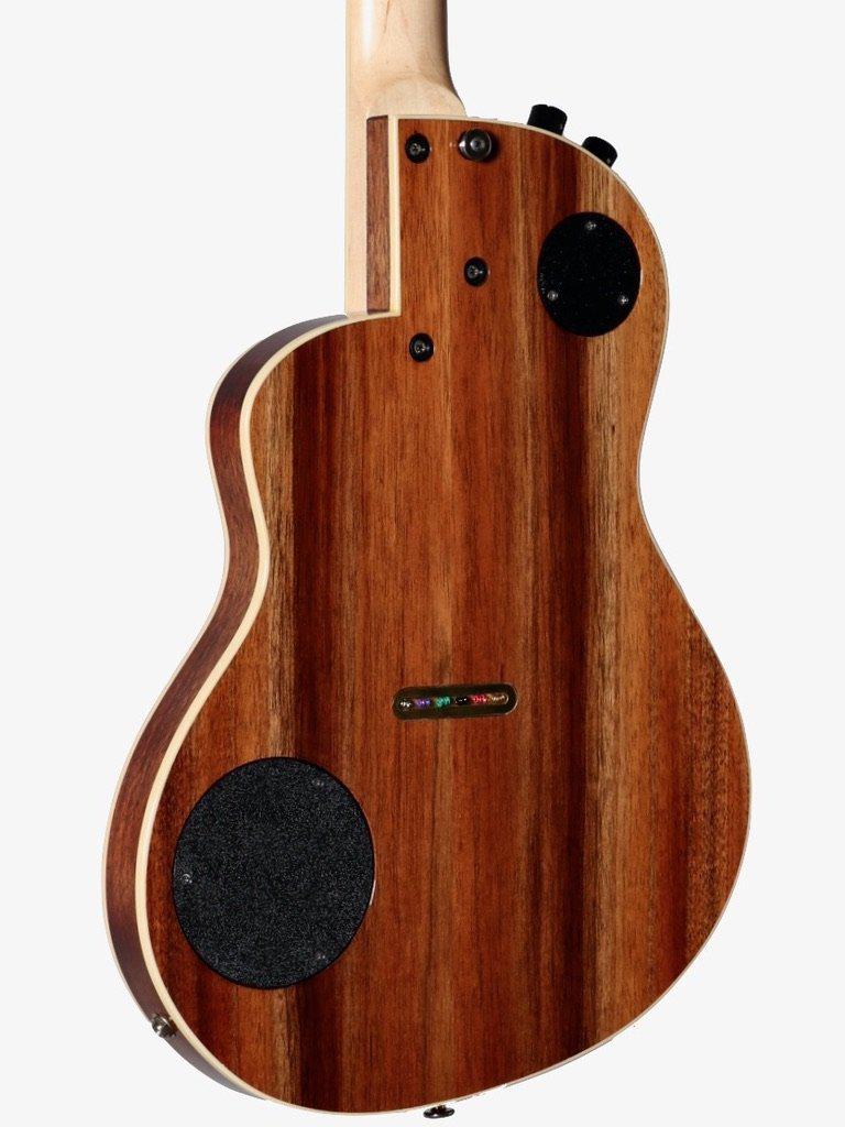 Rick Turner Renaissance RS12 Curly Redwood / Black Acacia #5602 - Rick Turner Guitars - Heartbreaker Guitars