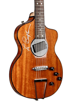 Rick Turner 40th Anniversary Lindsey Buckingham - Rick Turner Guitars - Heartbreaker Guitars