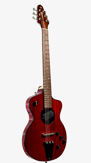 Rick Turner Model 1 Lindsey Buckingham with Piezo 2022 #5682 - Rick Turner Guitars - Heartbreaker Guitars