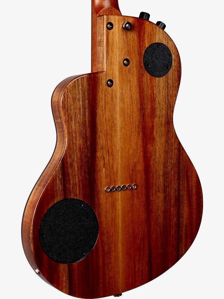 Rick Turner Renaissance RS6 Port Orford Cedar / Black Acacia #5302 - Rick Turner Guitars - Heartbreaker Guitars