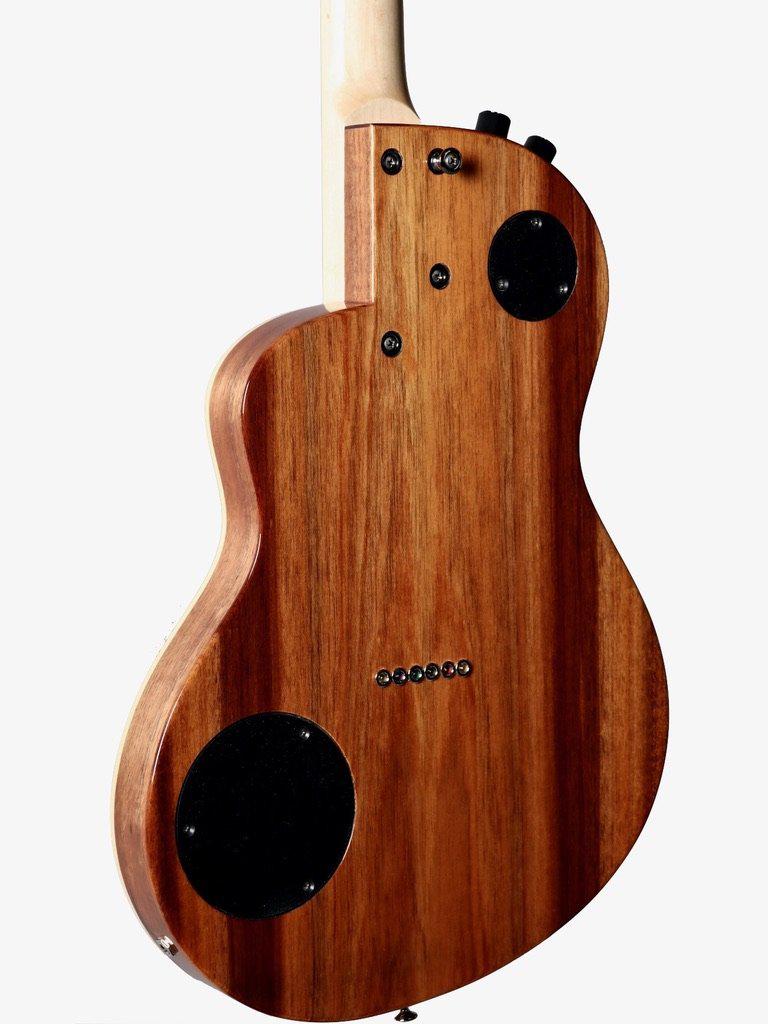 Rick Turner Renaissance California Series #5564 (Individual RS6) from the #8 Set - Rick Turner Guitars - Heartbreaker Guitars