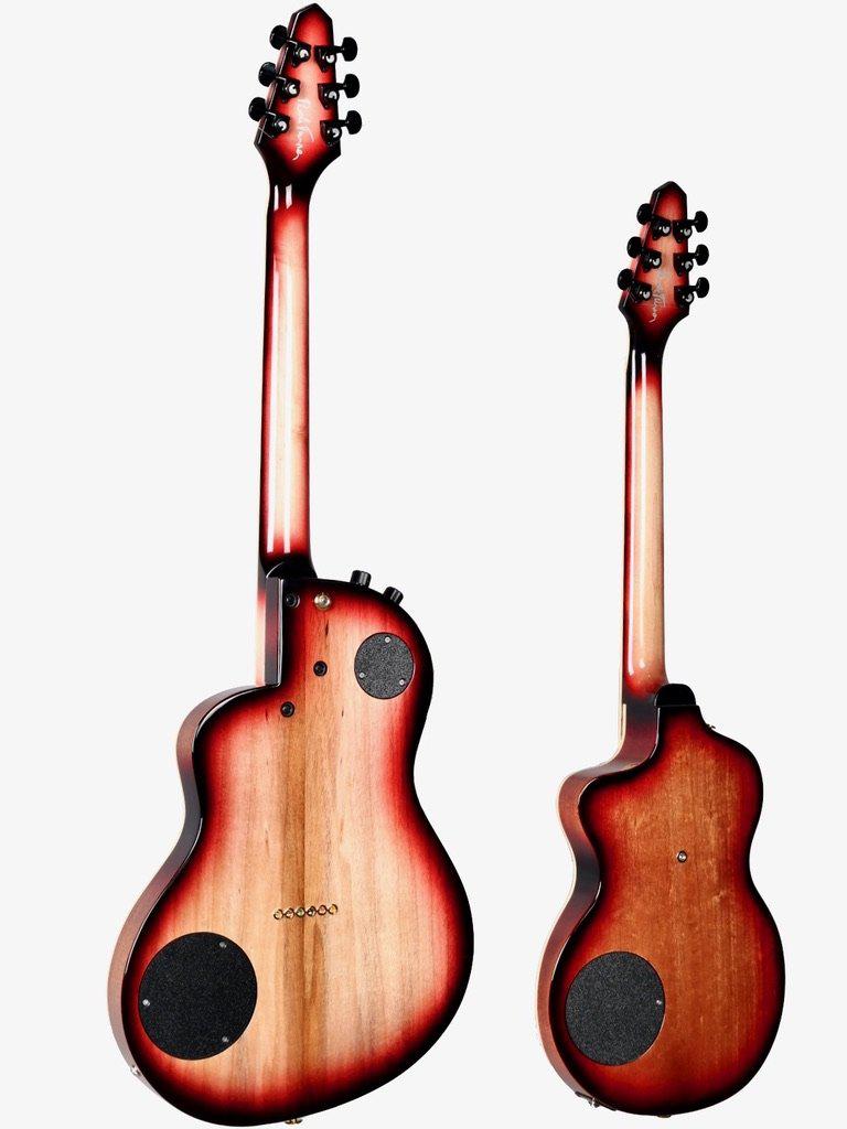 Rick Turner California Series Model 1 and Renaissance RS6 #9 of 10 - Rick Turner Guitars - Heartbreaker Guitars