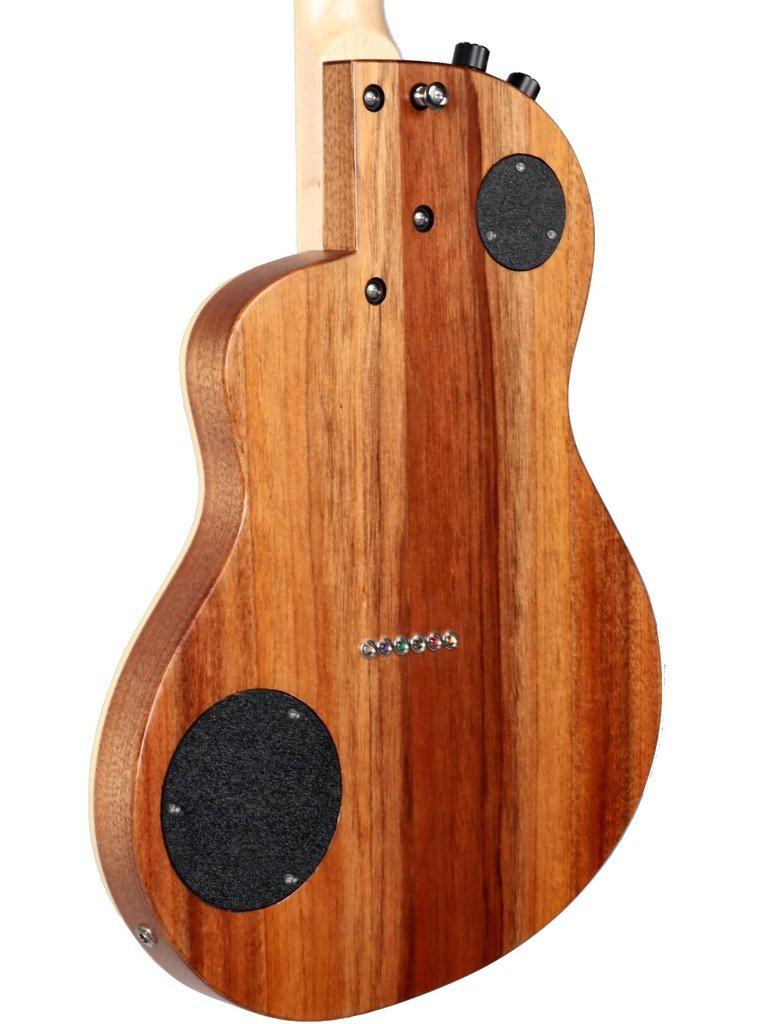 Rick Turner California Series Model 1 and Renaissance RS6 (Satin Finish) #10 of 10 - Rick Turner Guitars - Heartbreaker Guitars