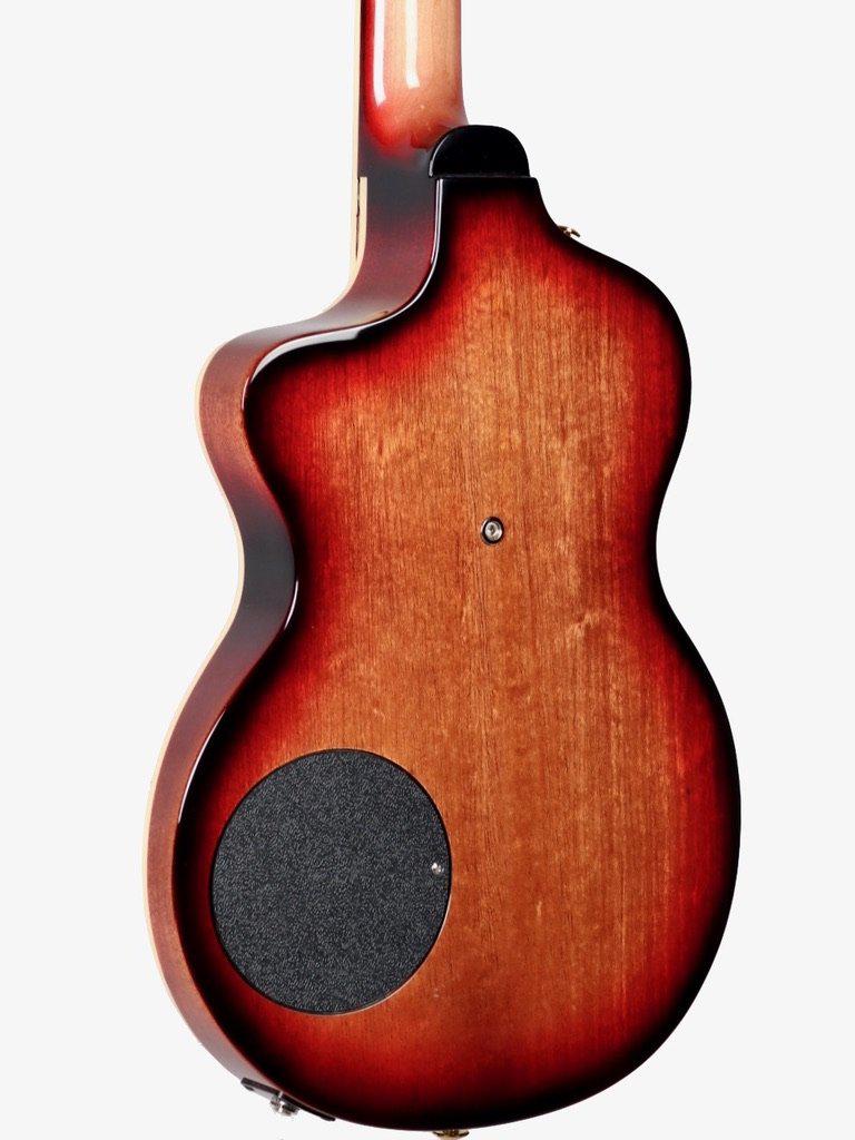 Rick Turner California Series Model 1 and Renaissance RS6 #9 of 10 - Rick Turner Guitars - Heartbreaker Guitars